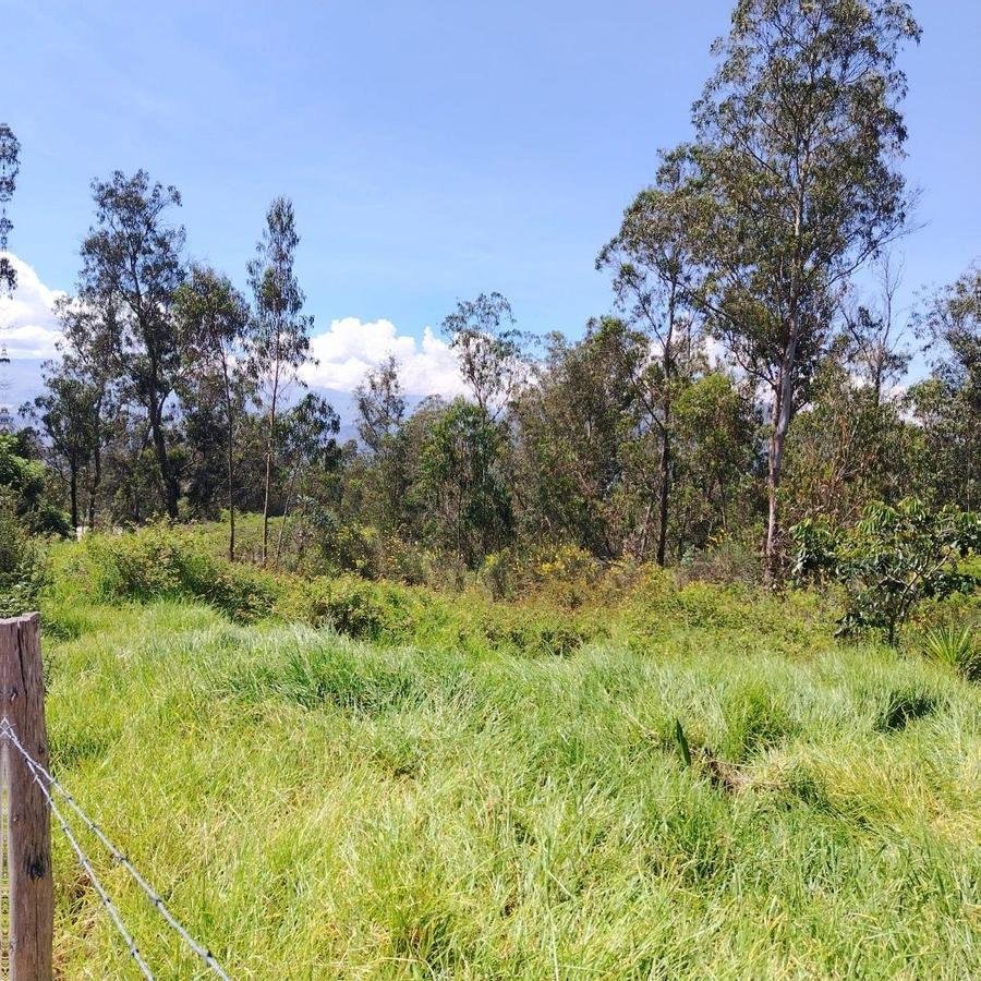 Land in Quito, Pichincha, Ecuador 5 - 18941482