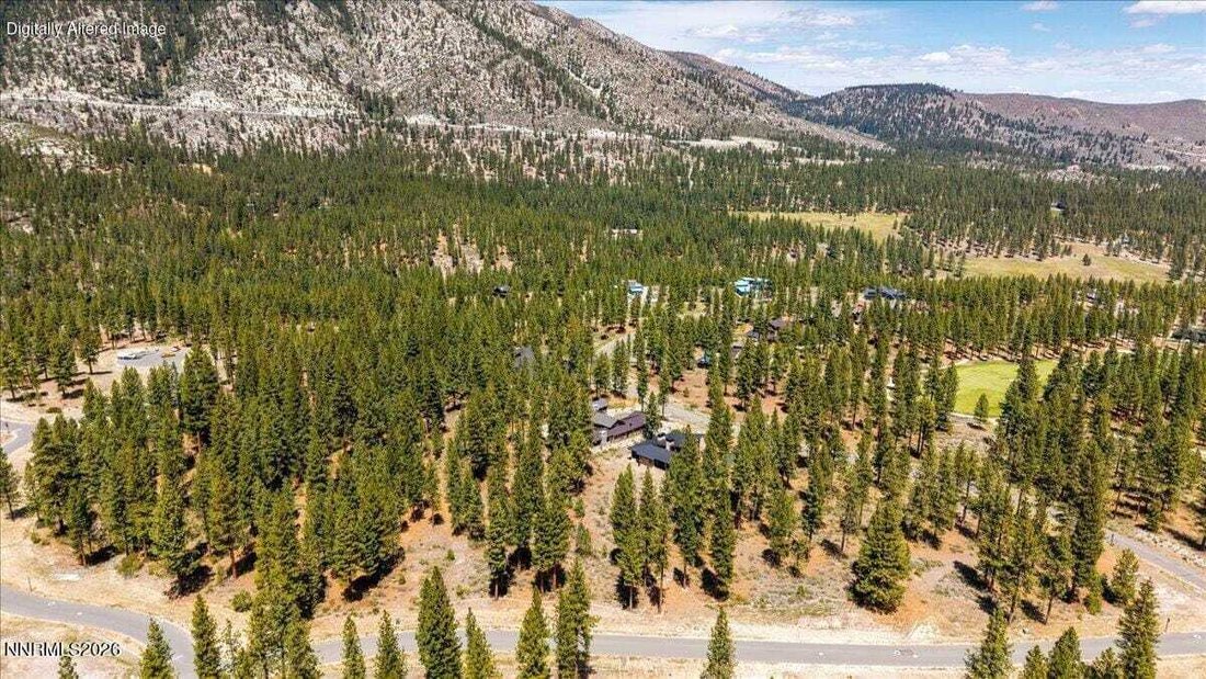 Land in Genoa, Nevada, United States 1 - 18945205
