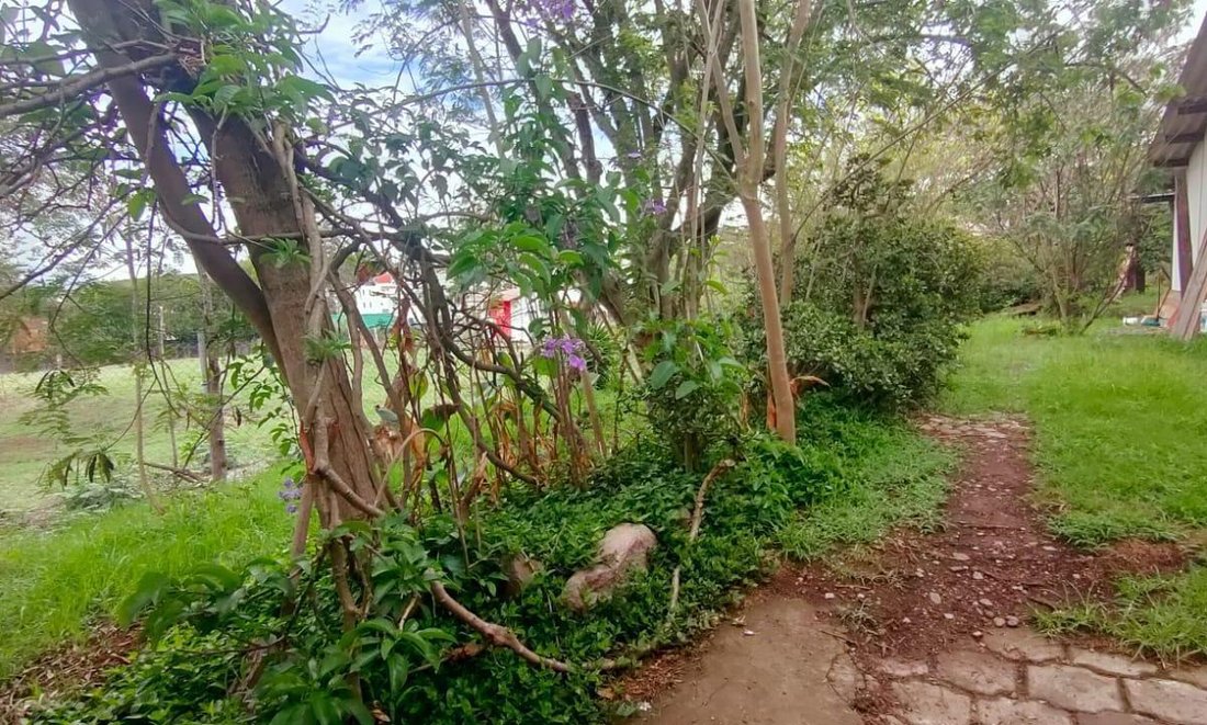 Land in Quito, Pichincha, Ecuador 5 - 18941467