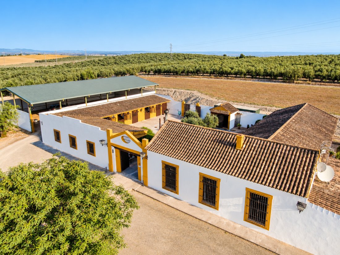 Country House in Moron de la Frontera, Andalusia, Spain 1 - 18939257
