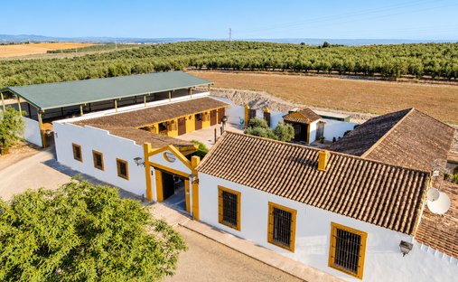 Country House in Moron de la Frontera, Andalusia, Spain 1