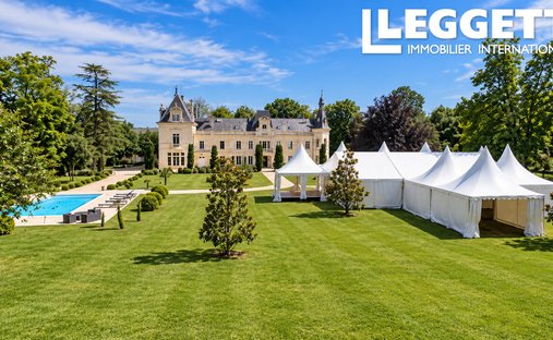 Castle in Foussignac, Nouvelle-Aquitaine, France 1