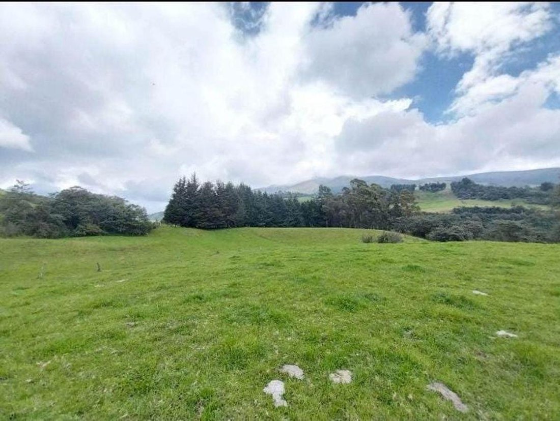 Farm Ranch in Sangolqui, Pichincha, Ecuador 4 - 18941465