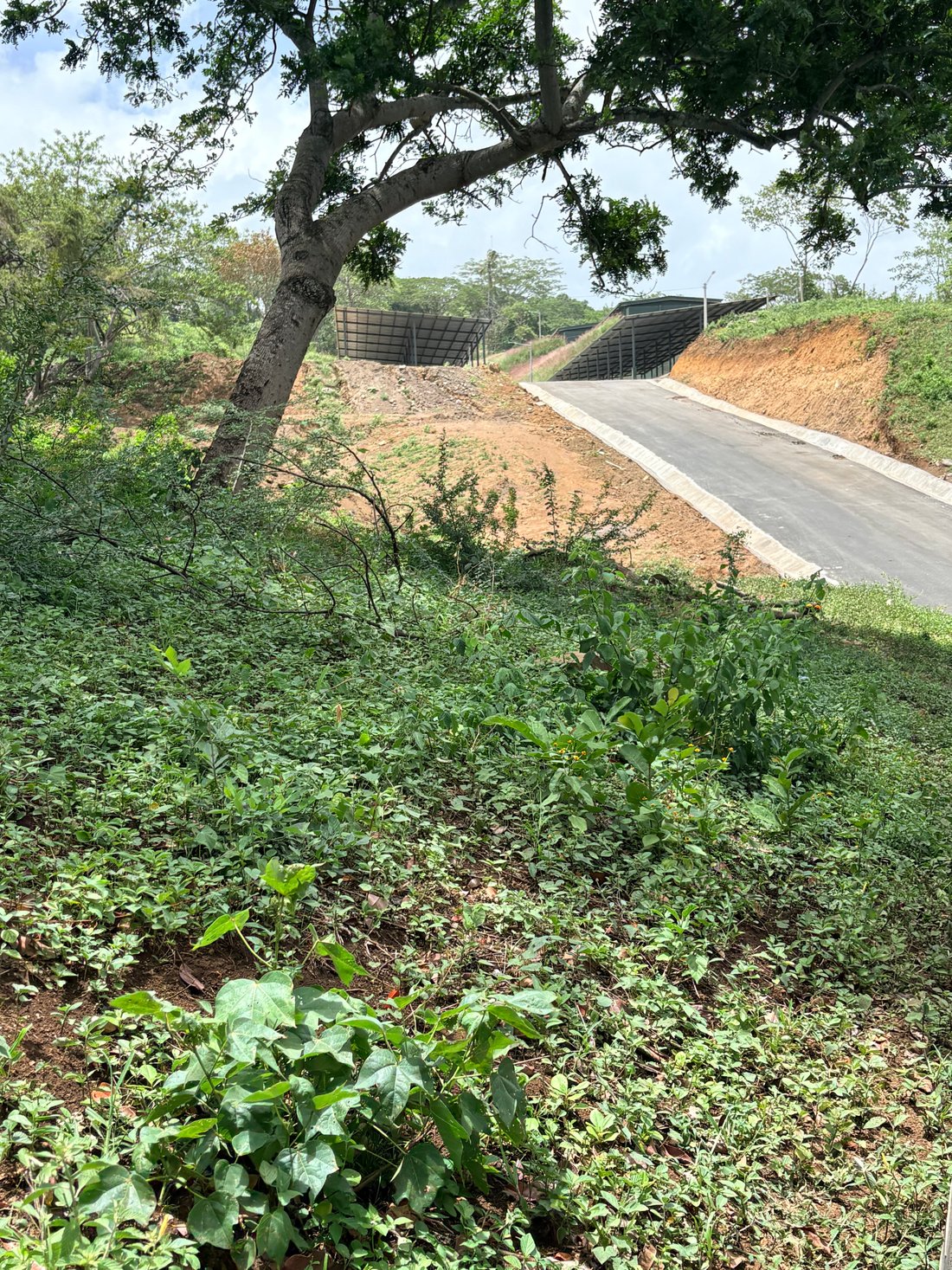 Land in Managua, Managua, Nicaragua 2 - 18942694