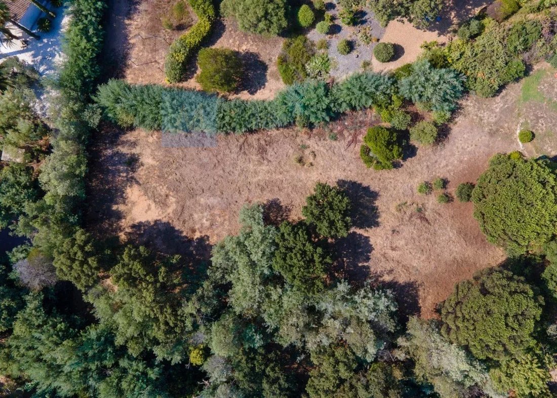 Terreno en Grimaud, Provenza-Alpes-Costa Azul, Francia 1 - 16958112