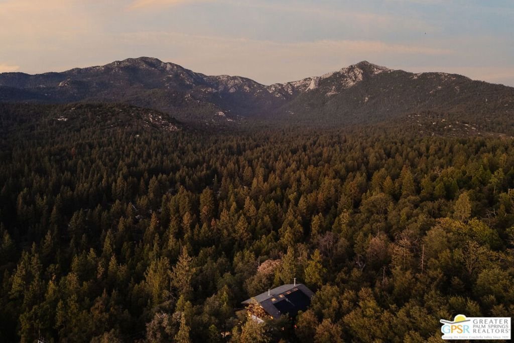 House in Idyllwild-Pine Cove, California, United States 3 - 18939358