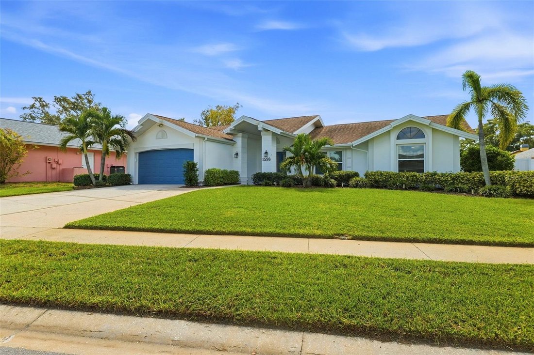 House in Palm Harbor, Florida, United States 5 - 18942839