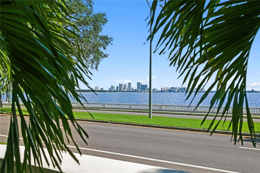 Townhouse in Tampa, Florida, United States 1 - 18439477