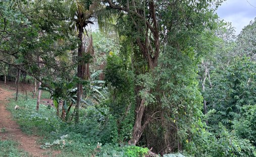 Land in Managua, Departamento Managua, Nicaragua 1