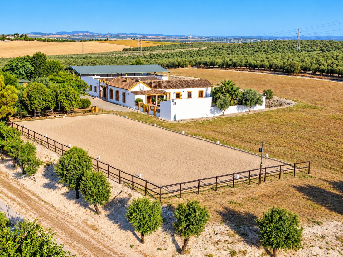 Country House in Moron de la Frontera, Andalusia, Spain 3 - 18939257
