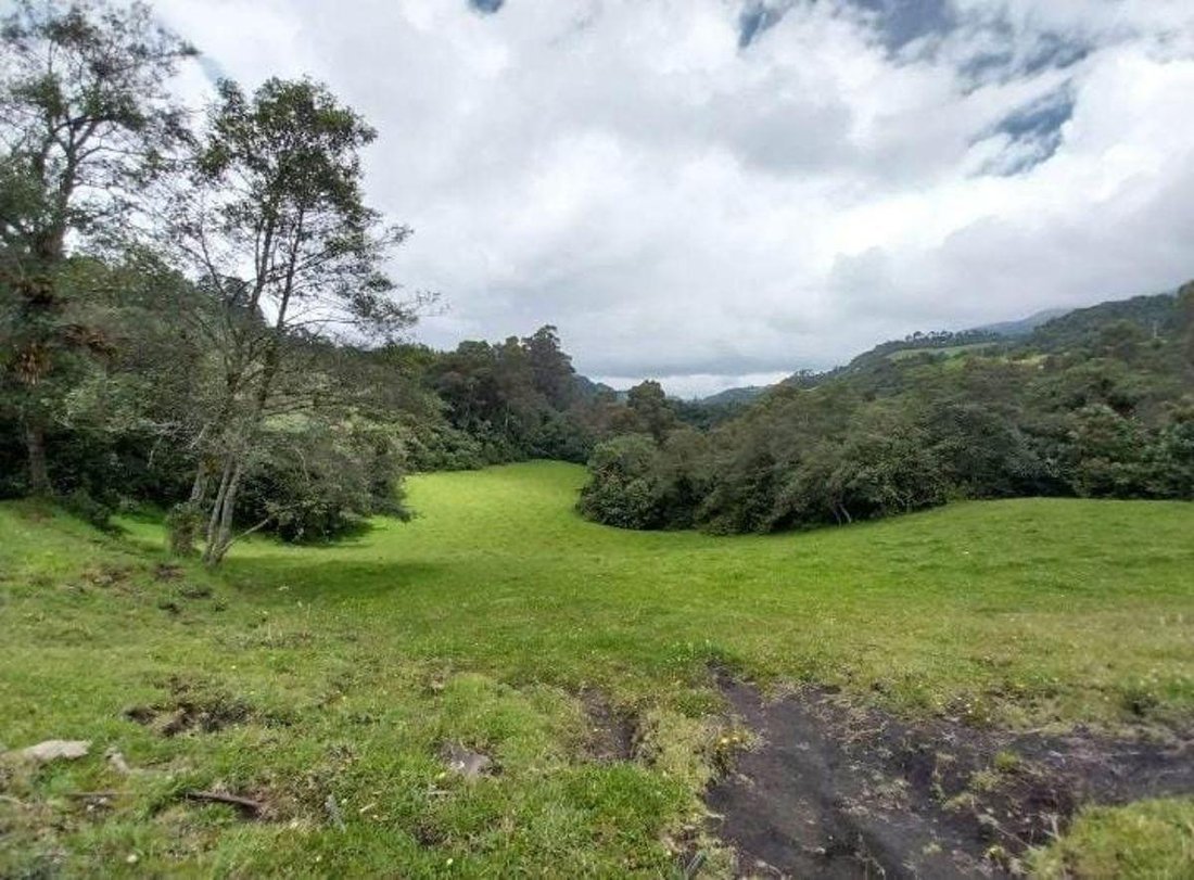 Farm Ranch in Sangolqui, Pichincha, Ecuador 2 - 18941465