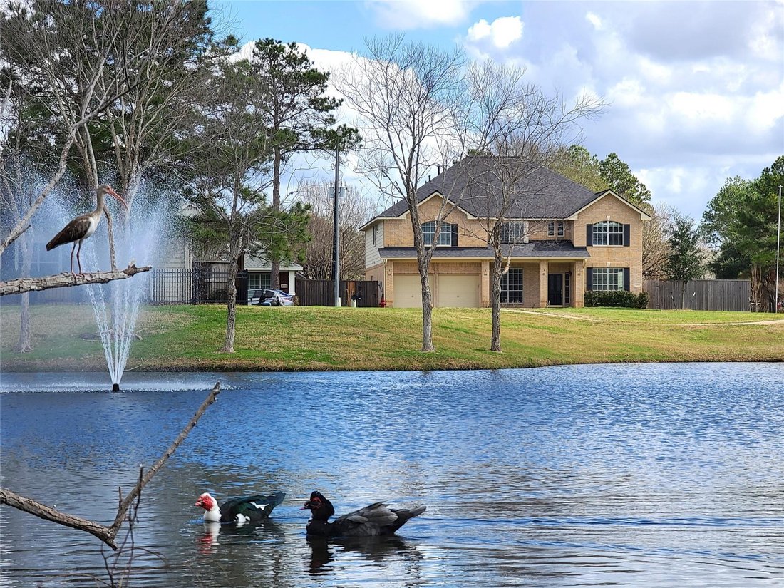 House in Katy, Texas, United States 1 - 18943515