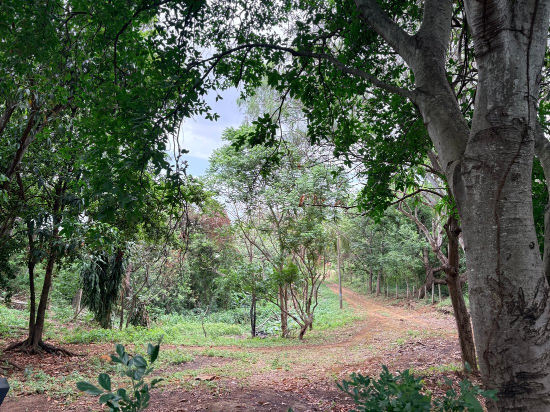 Land in Managua, Managua, Nicaragua 3 - 18942694