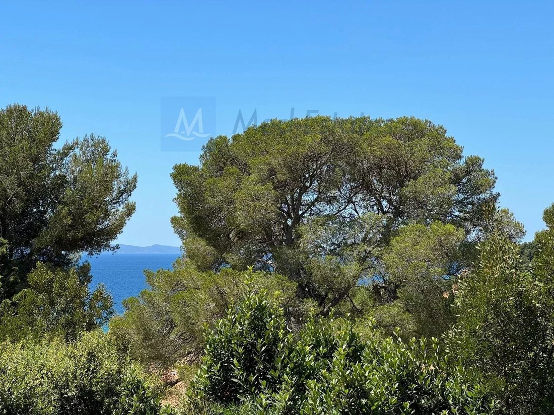 Villa en La Croix-Valmer, Provenza-Alpes-Costa Azul, Francia 1 - 17038877