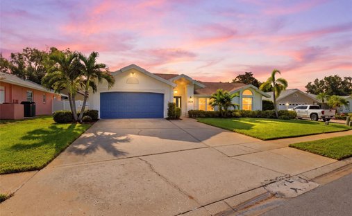 House in Palm Harbor, Florida, United States 1