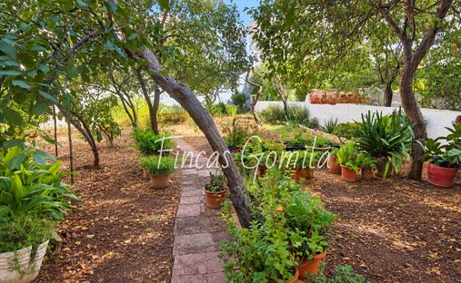 Chalet in Ferreries, Balearic Islands, Spain 1