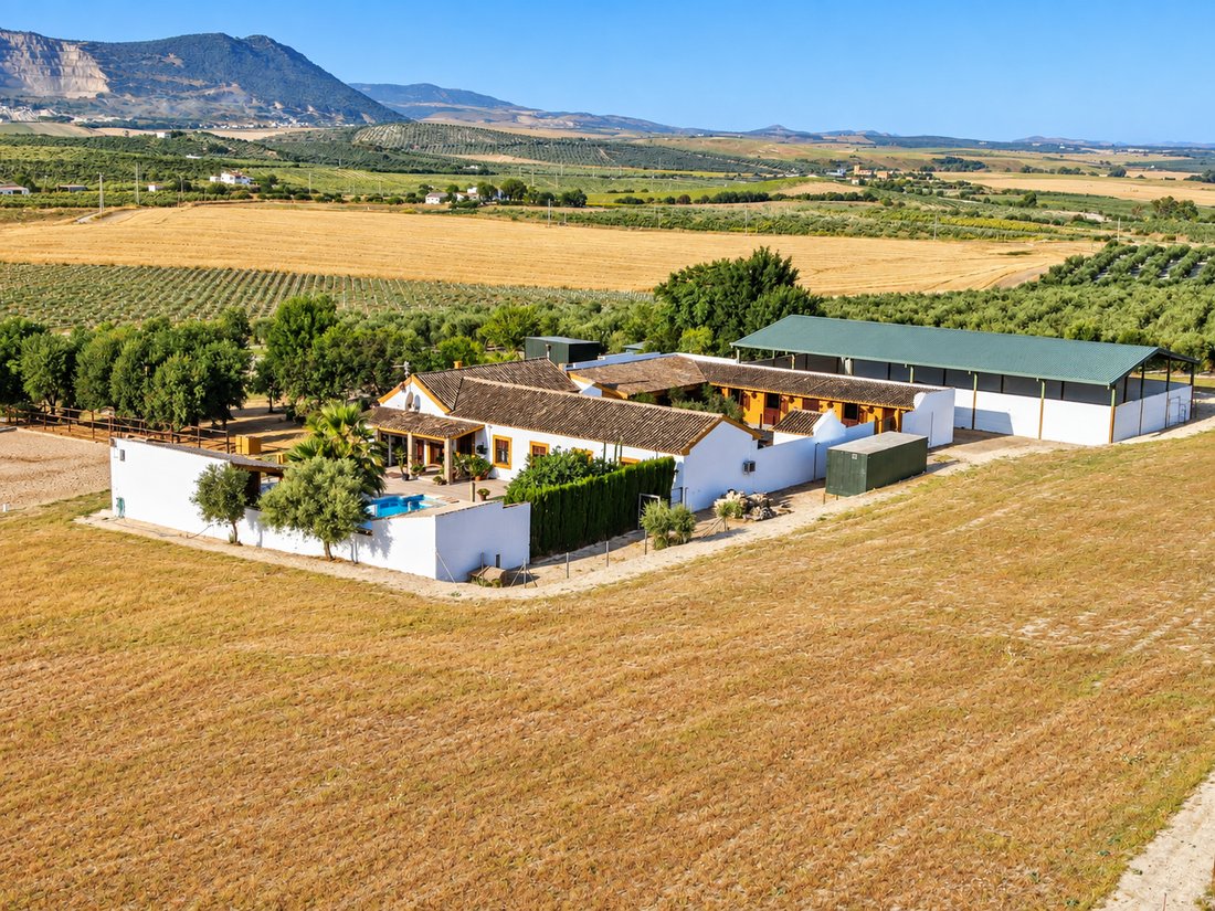 Country House in Moron de la Frontera, Andalusia, Spain 2 - 18939257