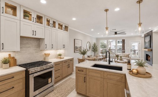 House in Conroe, Texas, United States 1