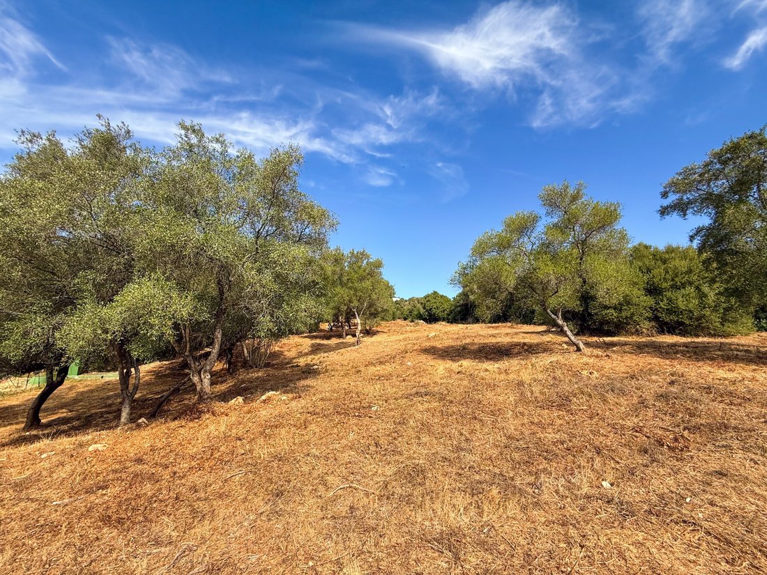 Land in Sotogrande, San Roque, Andalusia 5 - 18945184
