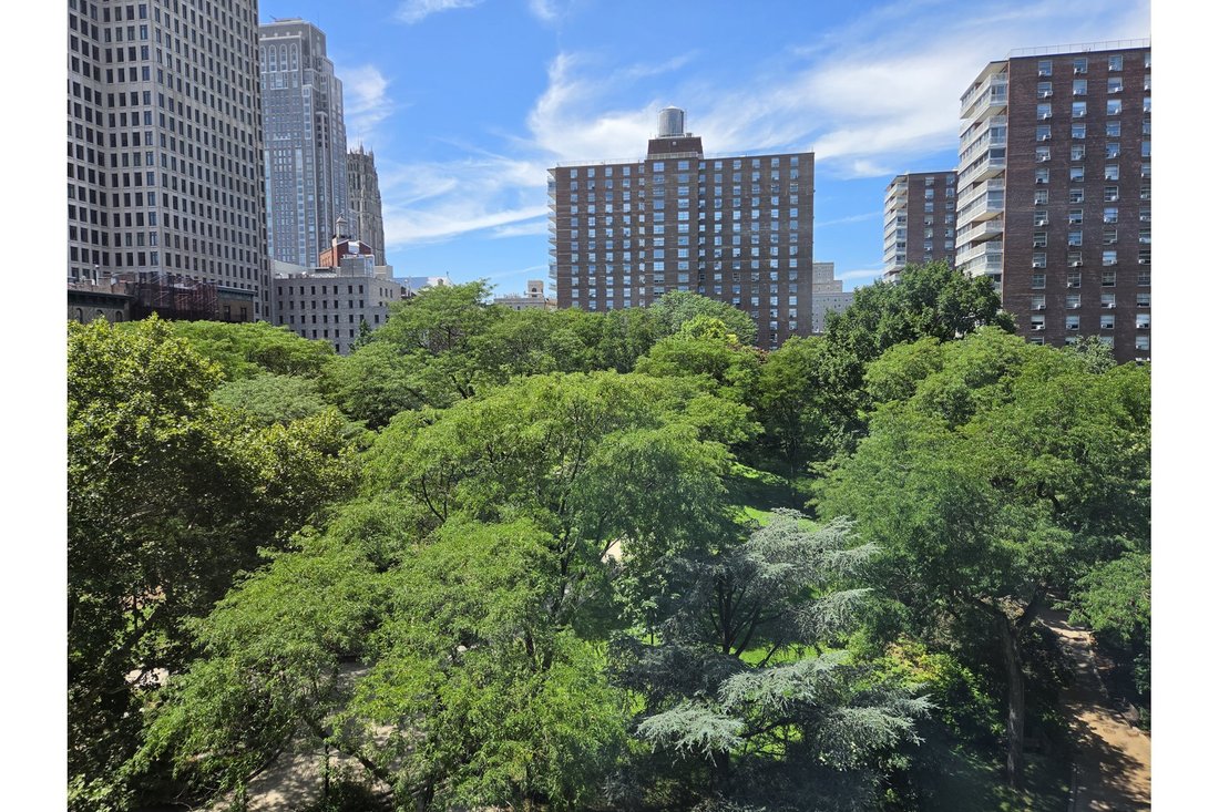 Co Op in New York, New York, United States 5 - 18943772