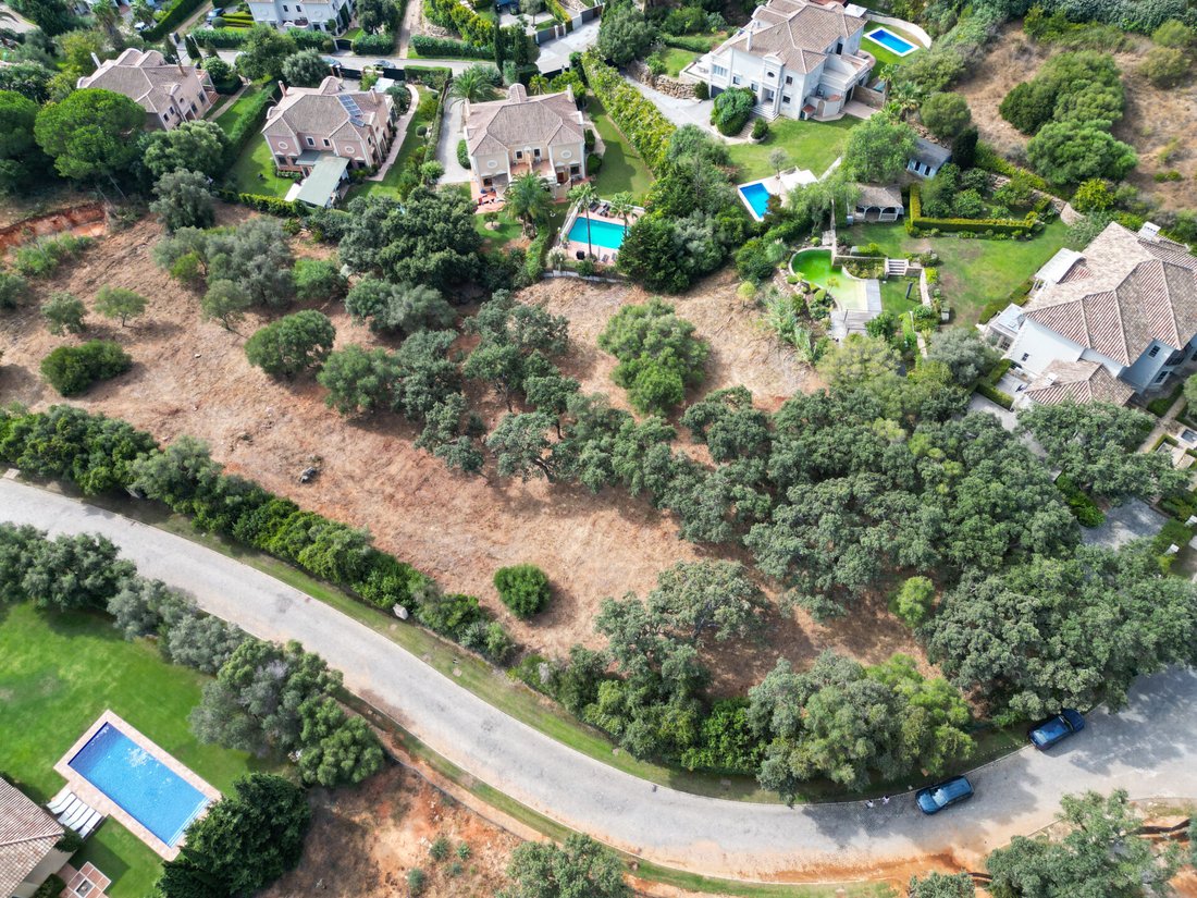 Land in Sotogrande, San Roque, Andalusia 3 - 18945184
