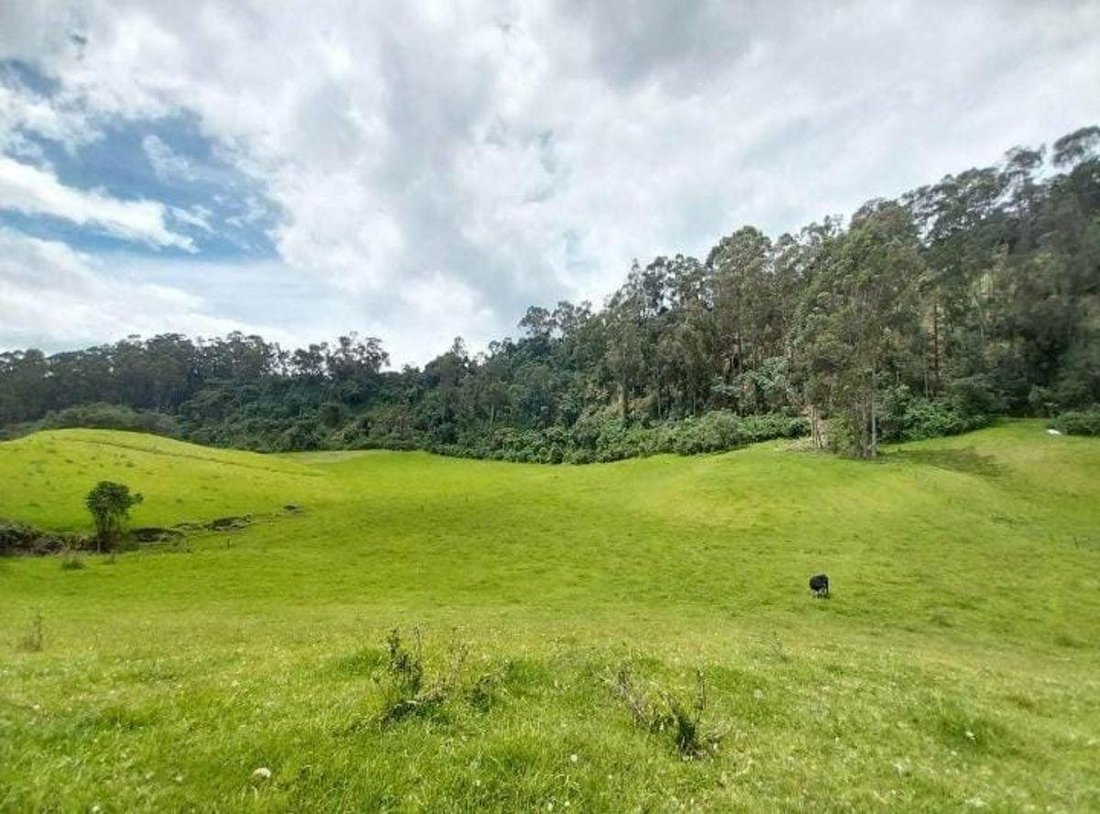 Farm Ranch in Sangolqui, Pichincha, Ecuador 3 - 18941465