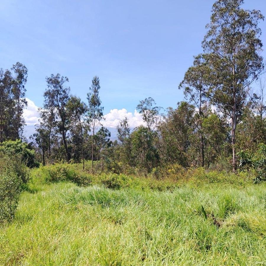 Land in Quito, Pichincha, Ecuador 2 - 18941482