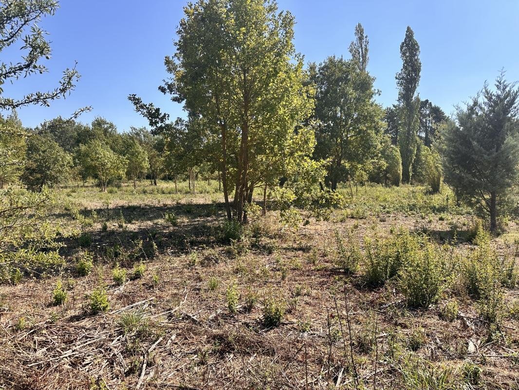 Land in Exterieurs, Cabriès, France 3 - 18940610