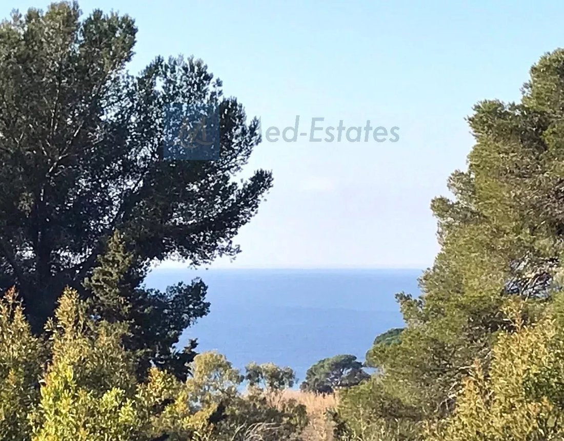 Villa in La Croix-Valmer, Provence-Alpes-Côte d'Azur, Frankreich 3 - 17038877