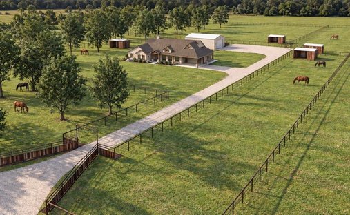 House in Millsap, Texas, United States 1