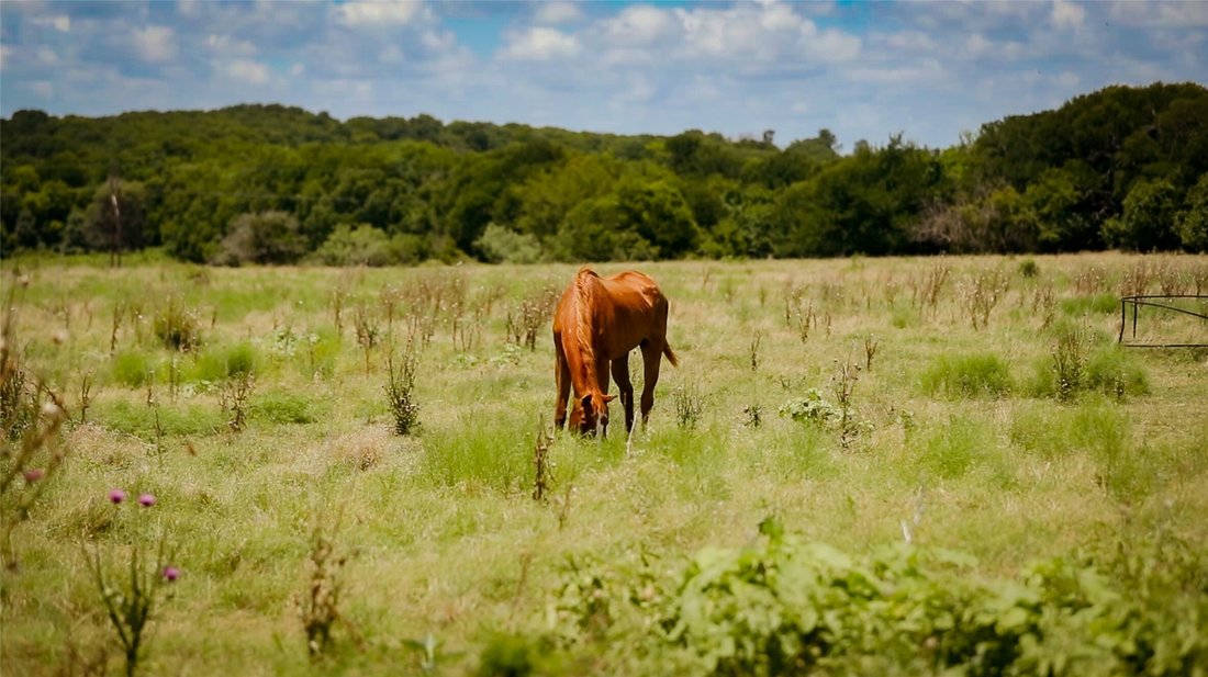 Land in Milford, Texas, United States 1 - 18942782