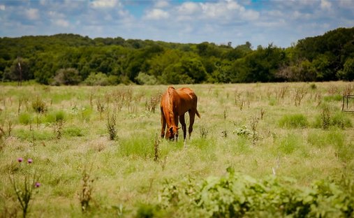 Land in Milford, Texas, United States 1