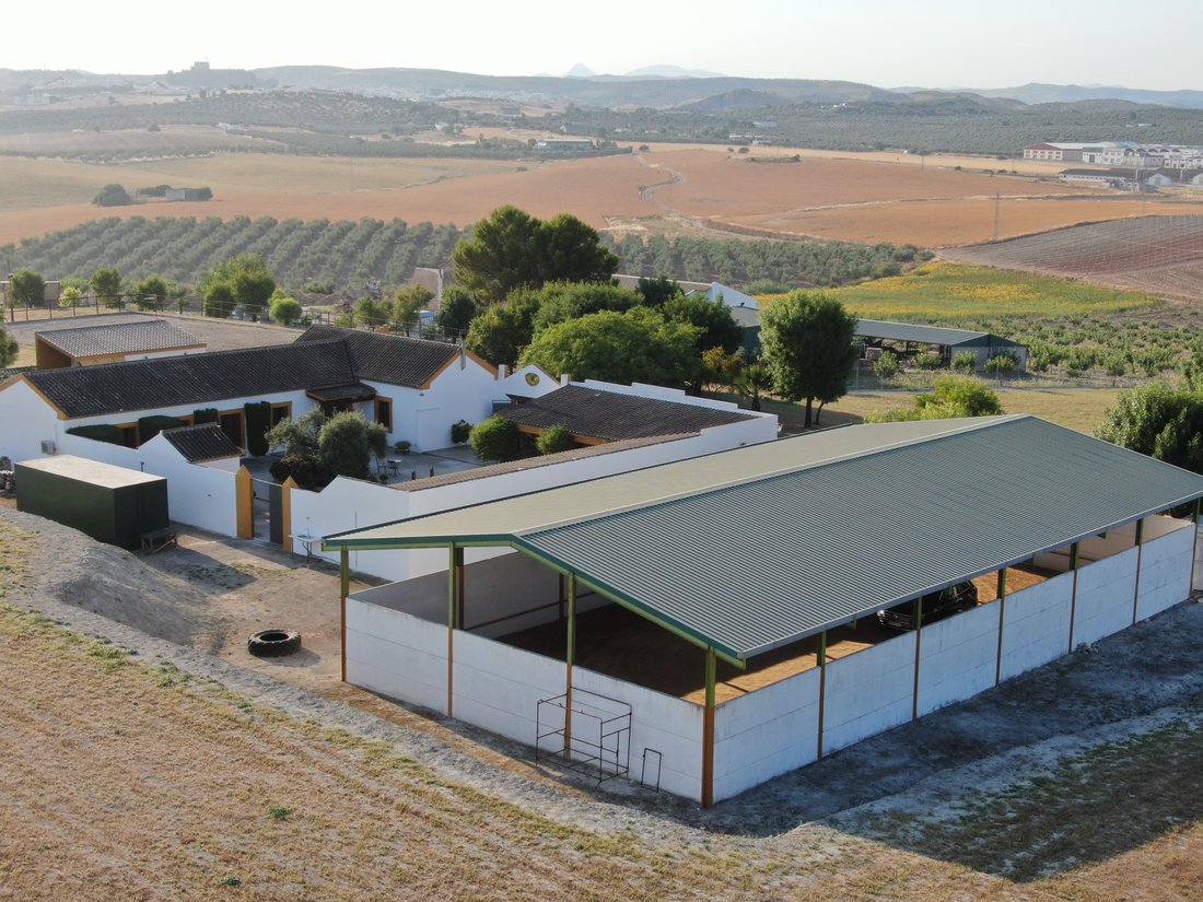 Country House in Moron de la Frontera, Andalusia, Spain 4 - 18939257