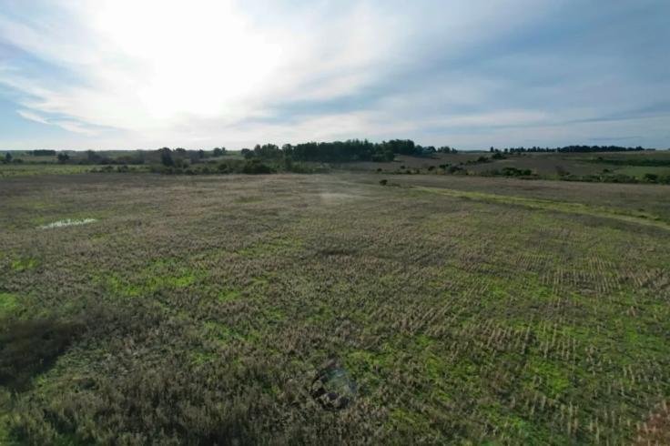 Farm Ranch in Dr. Francisco Soca, Canelones Department, Uruguay 5 - 18942840