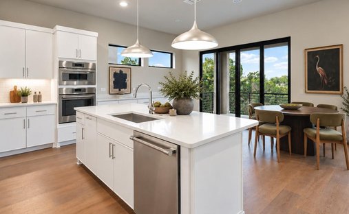House in Austin, Texas, United States 1