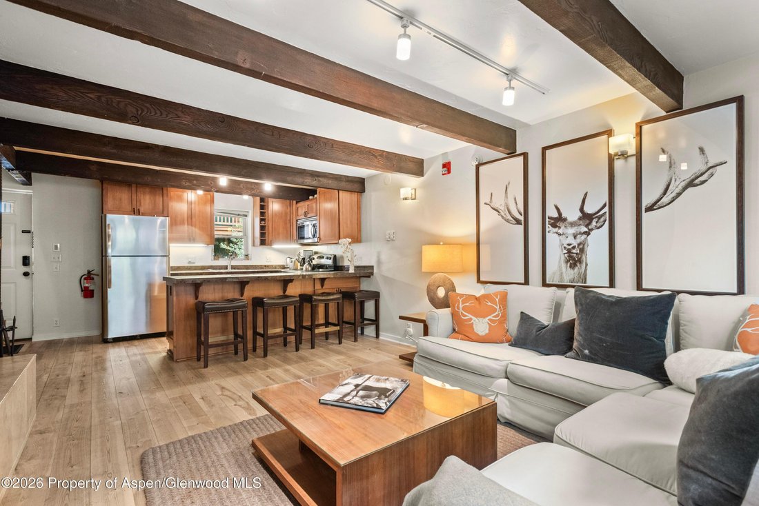 Condo in Aspen, Colorado, United States 4 - 18941570