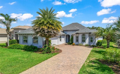 House in The Villages, Florida, United States 1