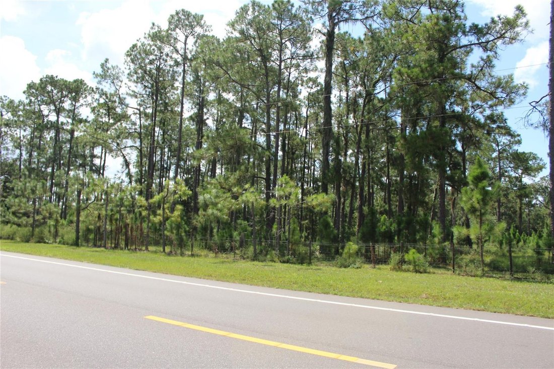 Land in Frostproof, Florida, United States 2 - 18942815