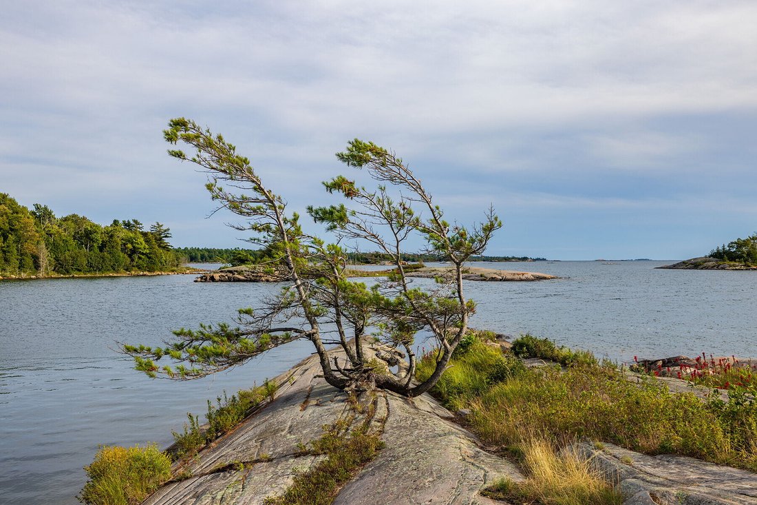 House in Carling, Ontario, Canada 3 - 18940979