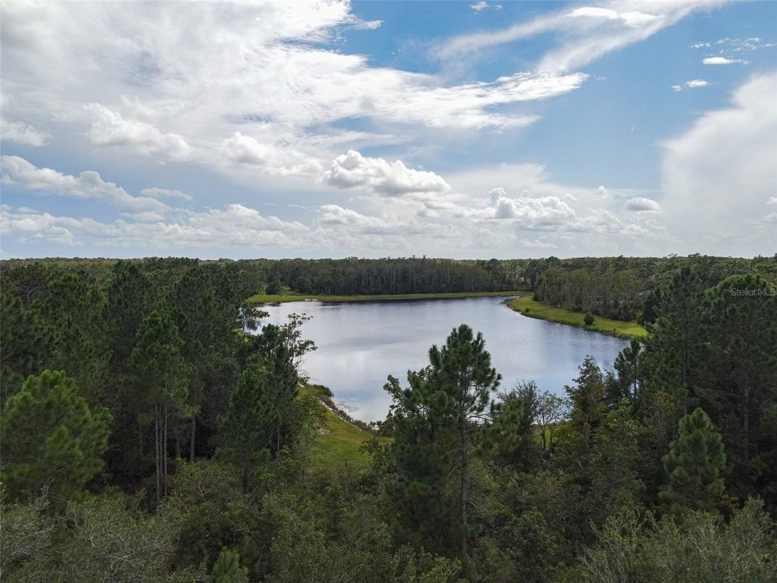 House in Orlando, Florida, United States 5 - 18942925