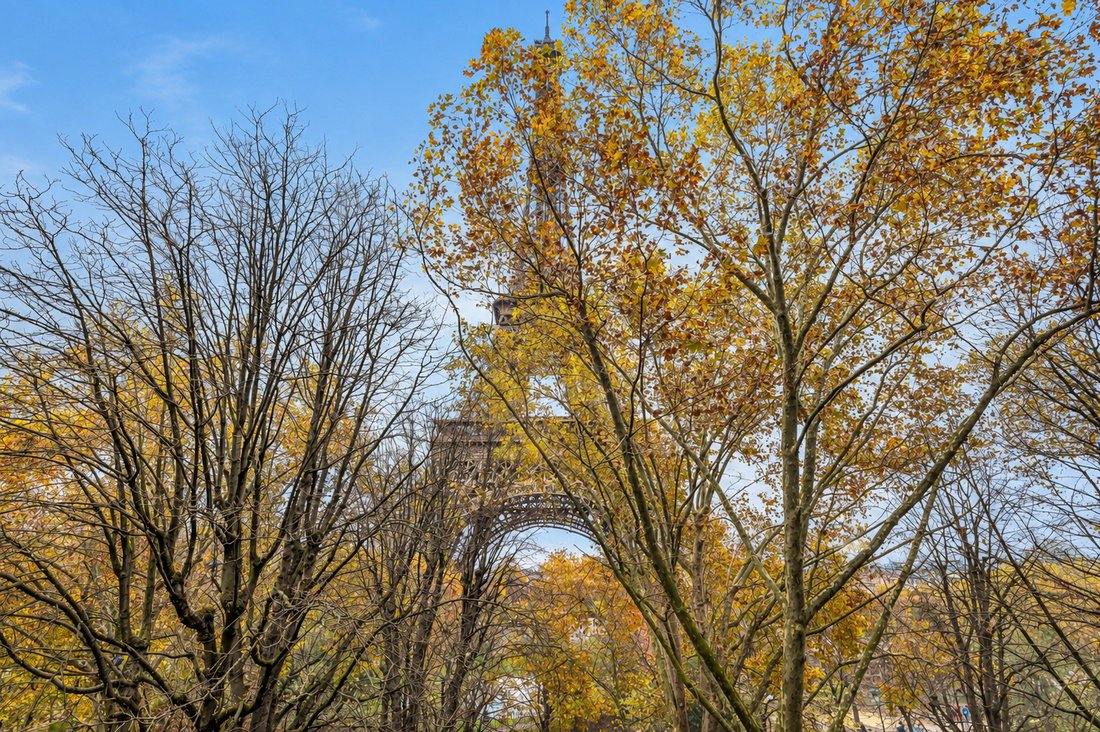 Apartment in Invalides, Paris 7e Arrondissement, Paris 5 - 18940301