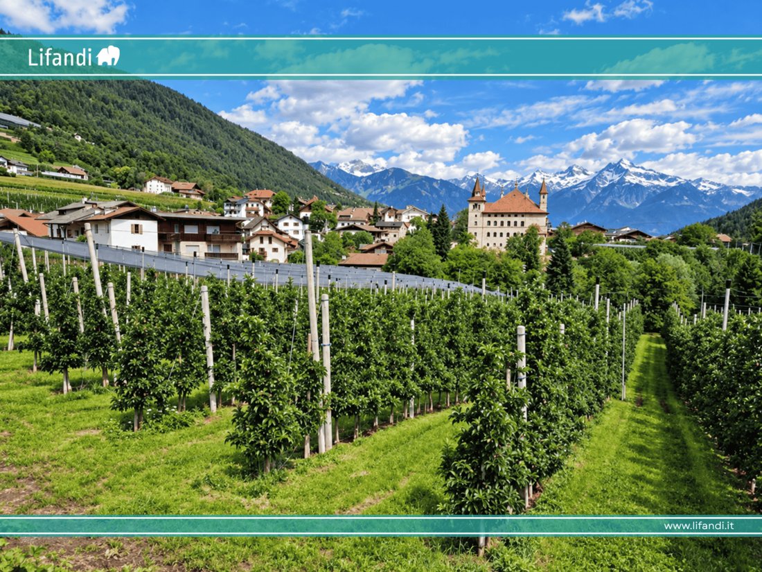Land in Altrei, Trentino – Alto Adige/Südtirol, Italy 1 - 13773138