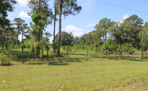 Land in Frostproof, Florida, United States 1