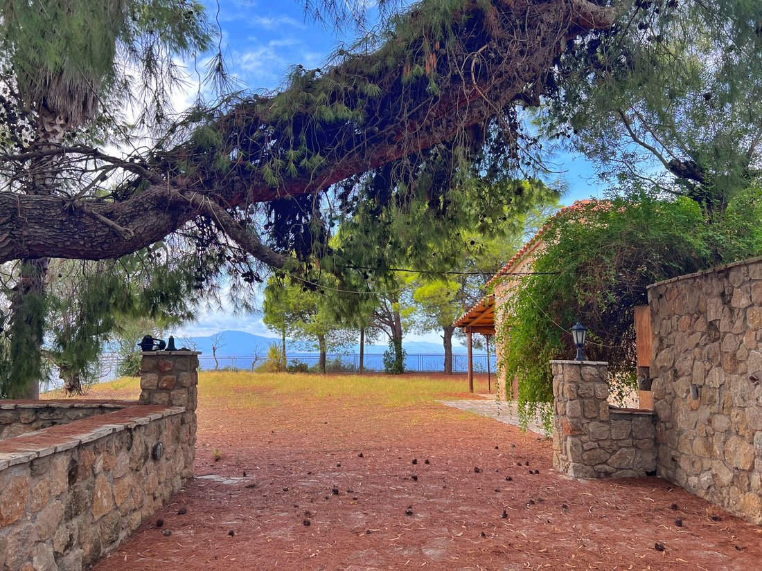 Land in Avia, Peloponnese, Western Greece and the Ionian, Greece 5 - 16860696