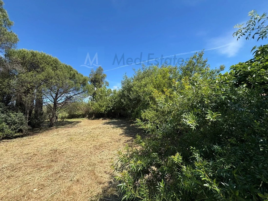 Land in Grimaud, Provence-Alpes-Côte d'Azur, France 4 - 17960662