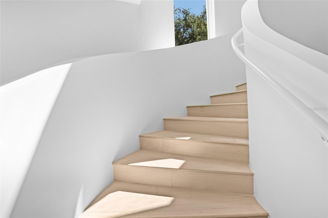 House in Tampa, Florida, United States 5 - 17721368