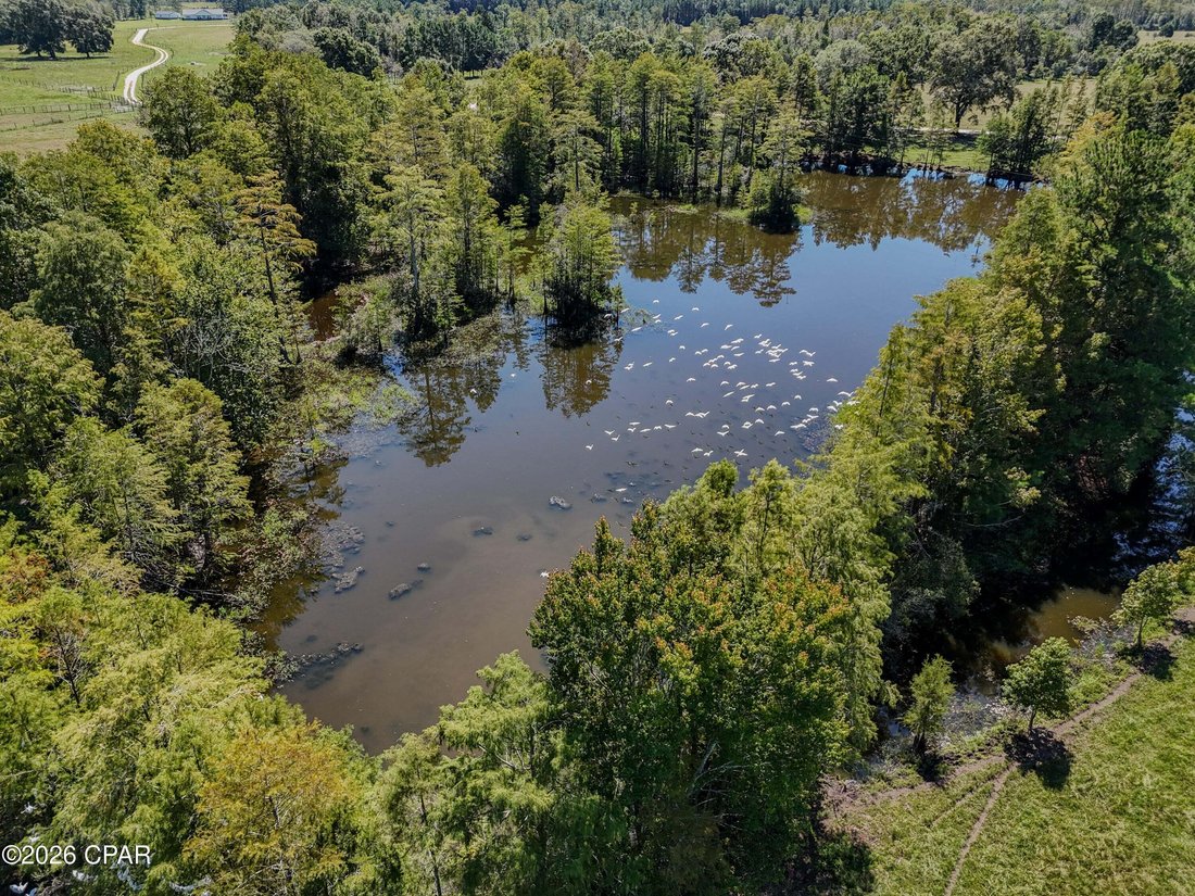 Farm Ranch in Bonifay, Florida, United States 5 - 18942366