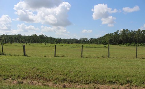 Land in Frostproof, Florida, United States 1