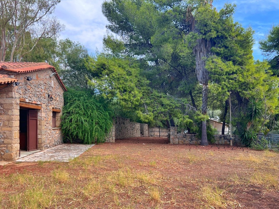 Land in Avia, Peloponnese, Western Greece and the Ionian, Greece 2 - 16860696