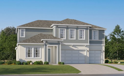 House in Land O' Lakes, Florida, United States 1